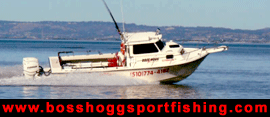 Click to visit:  www.bosshoggsportfishing.com
