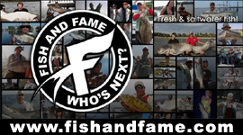Click to visit:  www.fishandfame.com