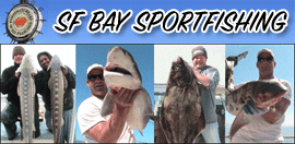 Click to visit:  www.sfbaysportfishing.com
